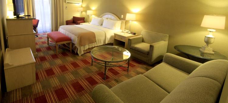 蒙克洛瓦假日酒店(Holiday Inn Monclova)图片