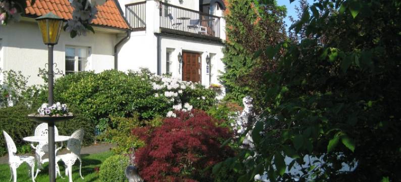 尼亚帕尔拉斯酒店(Nya Pallas Hotel)图片