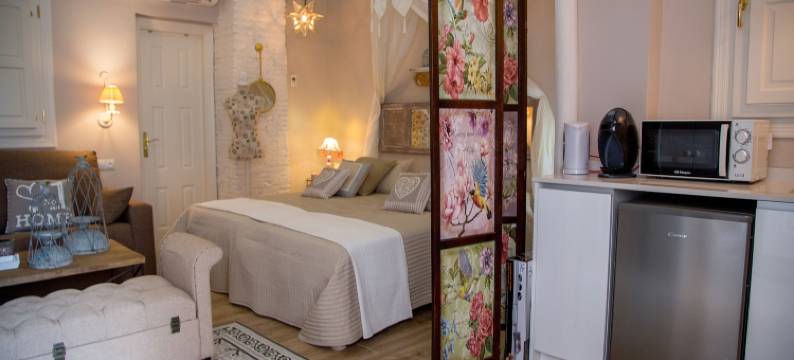 帕拉西奥阿尔马格拉公寓式酒店(Palacio Almagra)图片