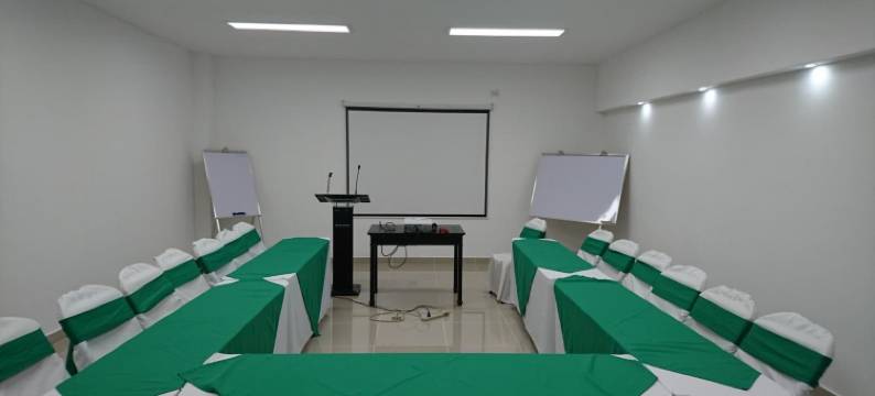 勃兰特酒店(Hotel Brandts Los Robles de San Juan)图片