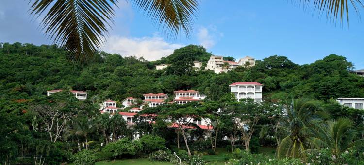 肉桂山格林纳达酒店(Mount Cinnamon Beach & Wellness Resort)图片