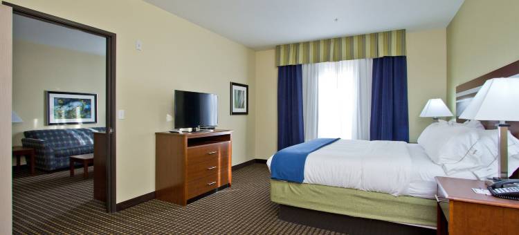 智选假日套房酒店丹佛芮(Holiday Inn Express & Suites Denver East-Peoria Street)图片