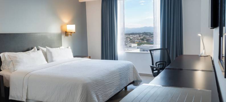 特皮克嘉年华酒店(Fiesta Inn Tepic)图片