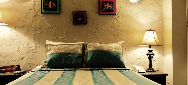 巴拿马城之家住宿加早餐旅馆(Panama House Bed & Breakfast)图片