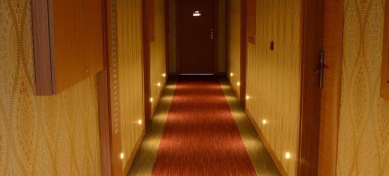 茨纳尔帕克酒店(Çınarpark Hotel)图片