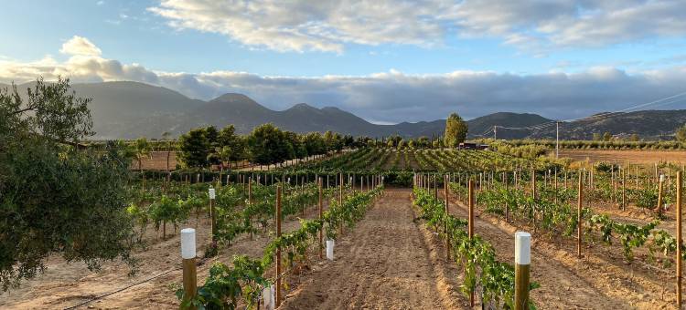 雷托诺斯别墅酒店(Villas en Los Retoños)图片