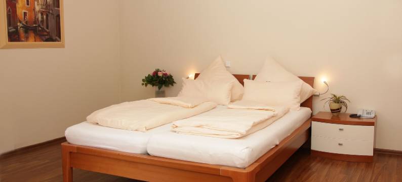 泉水康斯坦佐酒店(Hotel-Restaurant la Fontana)图片