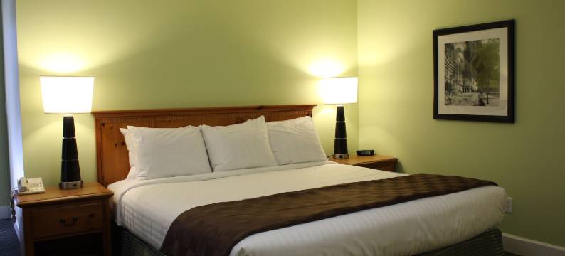 埃默里大学宾馆(The University Inn at Emory)图片