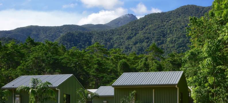 丹特里峰生态住宿山林小屋(Daintree Peaks Eco Stays)图片