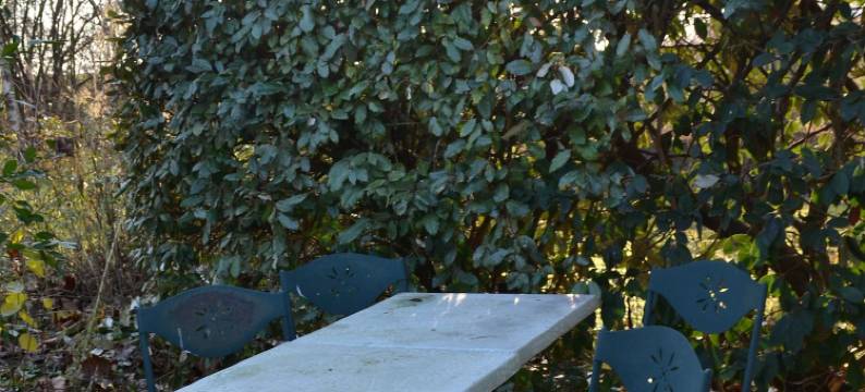 沙威特农场酒店(AU Nid Douillet de La Ferme Chauvet)图片