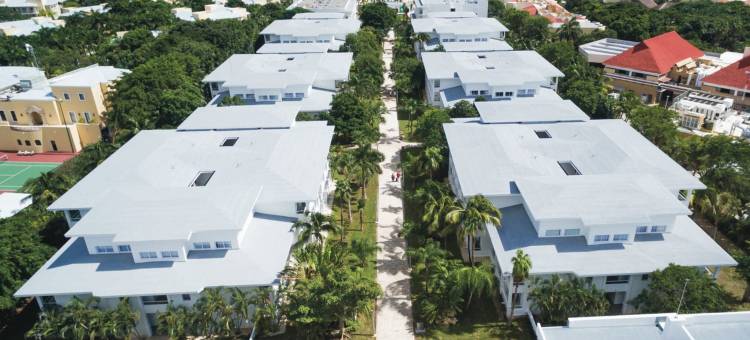 普拉亚卡尔悦宜湾酒店-全包(Riu Playacar - All Inclusive)图片