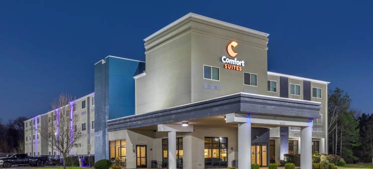 纳可杜契斯舒适全套房酒店(Comfort Suites Nacogdoches)图片