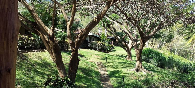 哥斯达黎加秘密帕帕加成人温泉度假村(Secrets Papagayo Costa Rica)图片