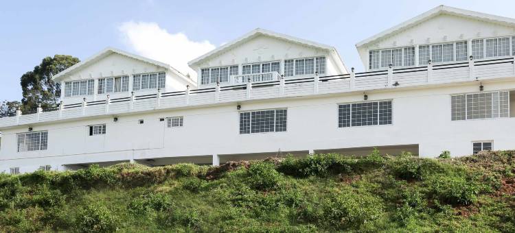 Treebo 天空谷酒店及套房(山景)(Treebo Skydale Inn & Suites with Mountain View)图片