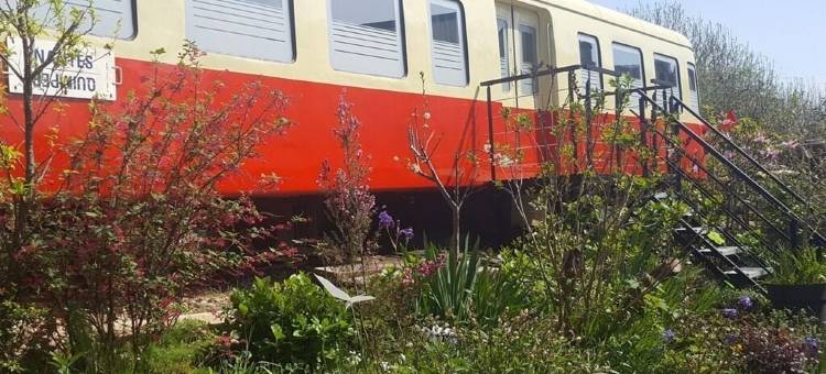 毕加索度假屋(Hébergement Insolite Picasso)图片