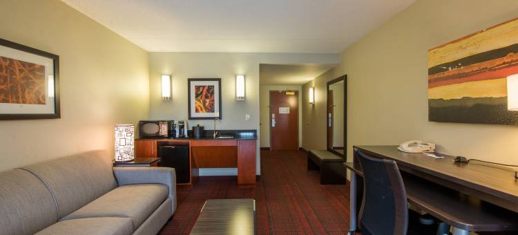 智选假日套房酒店奥本(Holiday Inn Express & Suites Auburn)图片