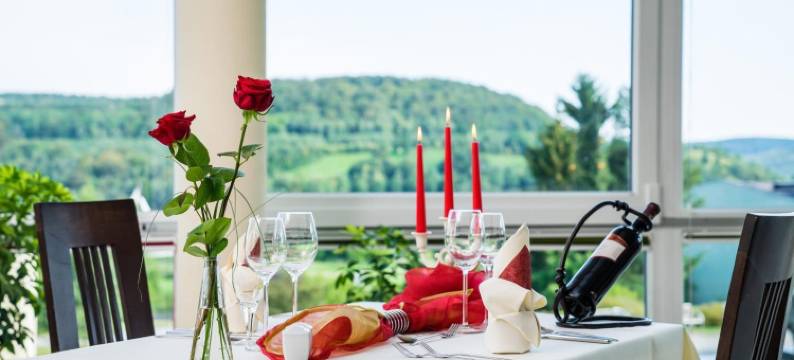 八德施乐马库尔酒店(Kurhotel Bad Schlema)图片