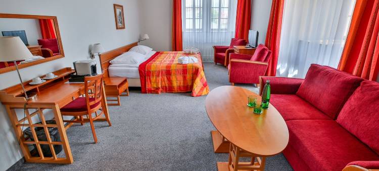 德沃夏克塔博尔LH酒店(LH Hotel Dvořák Tábor Congress & Wellness)图片