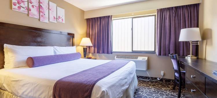 红色袜带娱乐场酒店 - 红狮酒店(Red Garter Hotel & Casino by Red Lion Hotels)图片