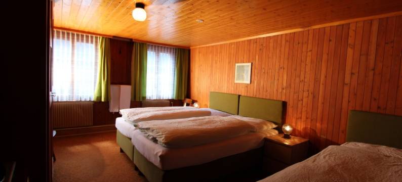 阿尔宾娜餐厅酒店(Hotel-Restaurant Alpina)图片