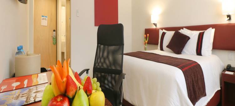 圣路易斯波托西使命快捷酒店(Hotel Misión Express San Luis Potosí)图片