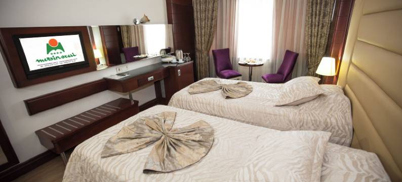 梅尔辛酒店(Mersin Oteli)图片