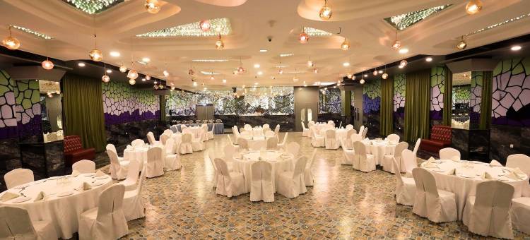 蜂鸟酒店和宴会(Humming Bird Hotel & Banquet)图片