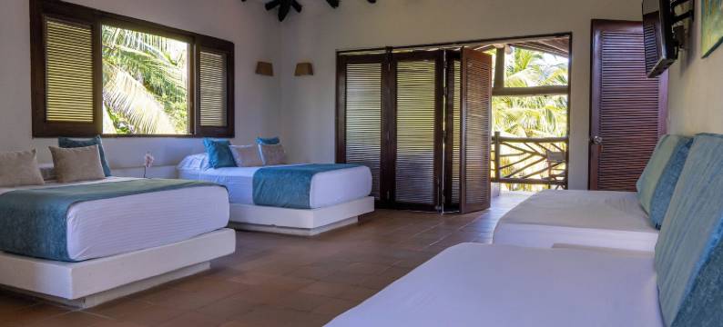 科科努科海滩帕洛米诺(Coconuco Beach Palomino)图片