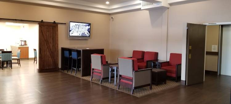 舒适酒店(Comfort Inn)图片