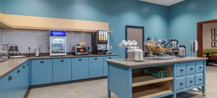 舒适酒店及套房卡特斯维尔 - 埃默森湖点(Comfort Inn & Suites Cartersville - Emerson Lake Point)图片