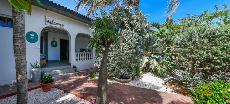 ALOE 民宿(Aloe B&B)图片