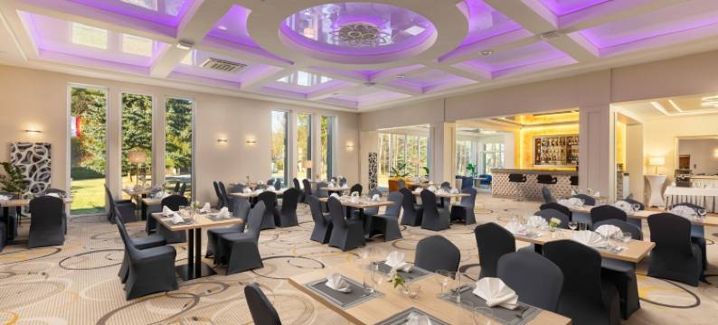 佩拉莱斯纳酒店(Perła Leśna Nadarzyn)图片