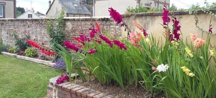 奥贝皮尼斯酒店(Hotel les Aubépines)图片