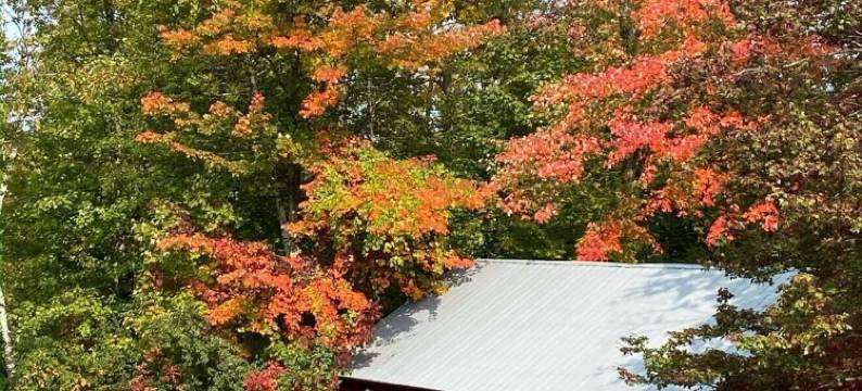 回到时光民宿(Back Inn Time)图片