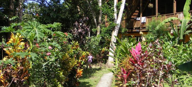 羽叶棕榈河畔小屋酒店(Cohune Palms River Cabanas)图片
