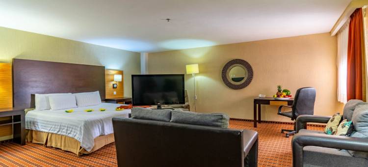 巴黎FC酒店(Paris FC Hotel)图片