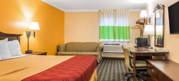 米尔代尔-绍辛顿伊克诺旅馆(Econo Lodge Milldale - Southington)图片