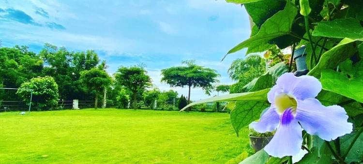 太鲁阁立雾左邨民宿图片