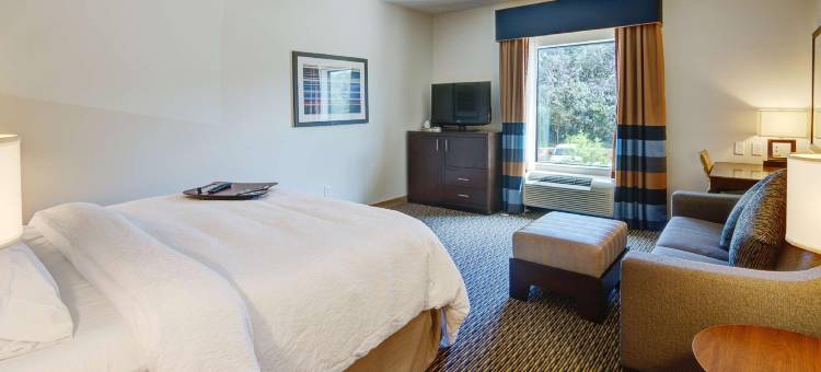 奖杯俱乐部 - 沃斯堡北希尔顿欢朋套房酒店(Hampton Inn & Suites Trophy Club - Fort Worth North)图片