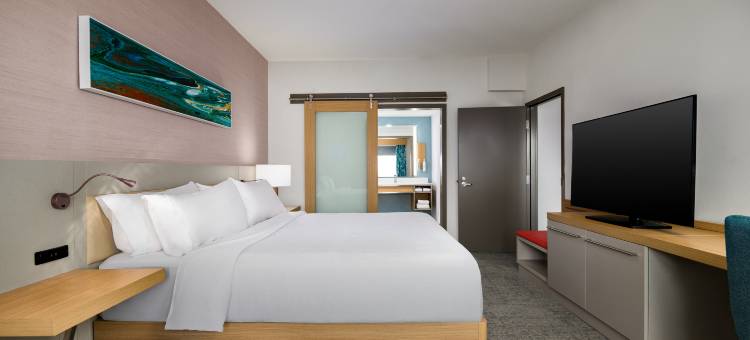 希尔顿花园酒店奥兰多 I-4 千禧年大道购物中心(Hilton Garden Inn Orlando I-4 Millenia Blvd Mall)图片