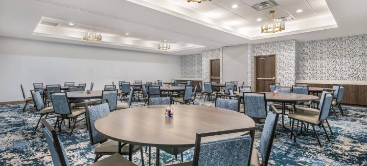 坦帕布兰登坎布里亚酒店(Cambria Hotel Tampa-Brandon)图片