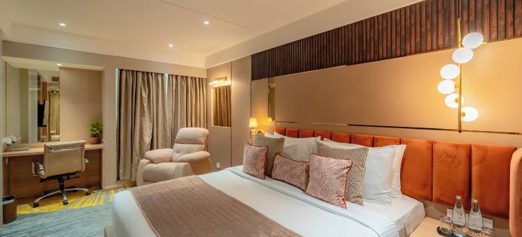 赛雅吉Effotel印多尔(Effotel by Sayaji Indore)图片