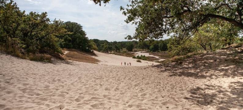 Bedafse Bergen的有露台的平房(Bungalow with a Terrace at Bedafse Bergen)图片