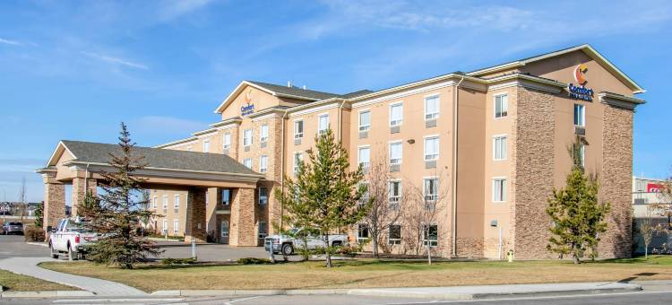 舒适酒店及套房- 艾尔德里(Comfort Inn & Suites)图片