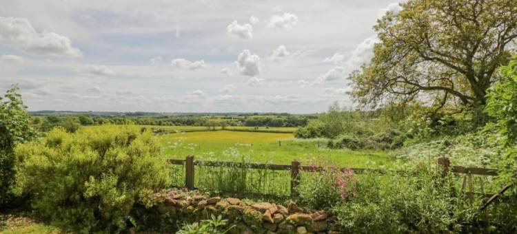 Shepherd's Hut near Cotswolds & Sky Dive Fun图片
