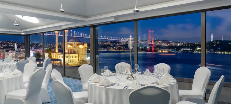 伊斯坦布尔丽笙蓝标博斯普鲁斯酒店(Radisson Blu Bosphorus Hotel, Istanbul)图片