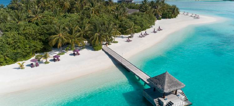 纳拉杜私人岛屿马尔代夫(Naladhu Private Island Maldives)图片