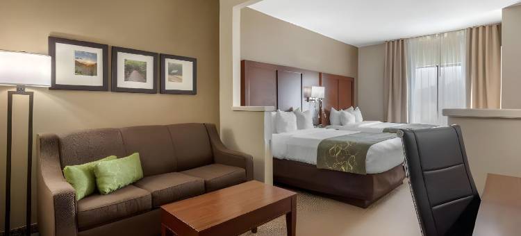 约翰逊城舒适套房酒店-近大学城(Comfort Suites Johnson City Near University)图片