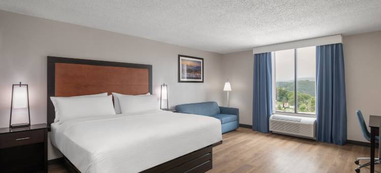 加纳威斯维尔东 IHG 酒店(Garner Hotel WYTHEVILLE EAST by IHG)图片