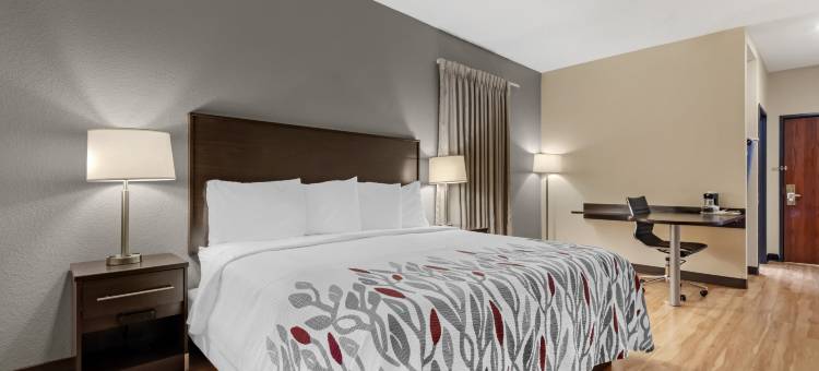 红顶酒店-杜马斯(Red Roof Inn Dumas)图片